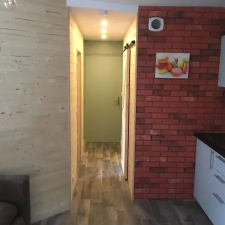 Apartment Les Amethystes Le Mont-Dore